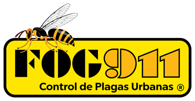 Logo-FOG911-2022